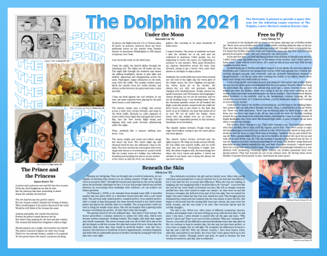 The Dolphin 2021