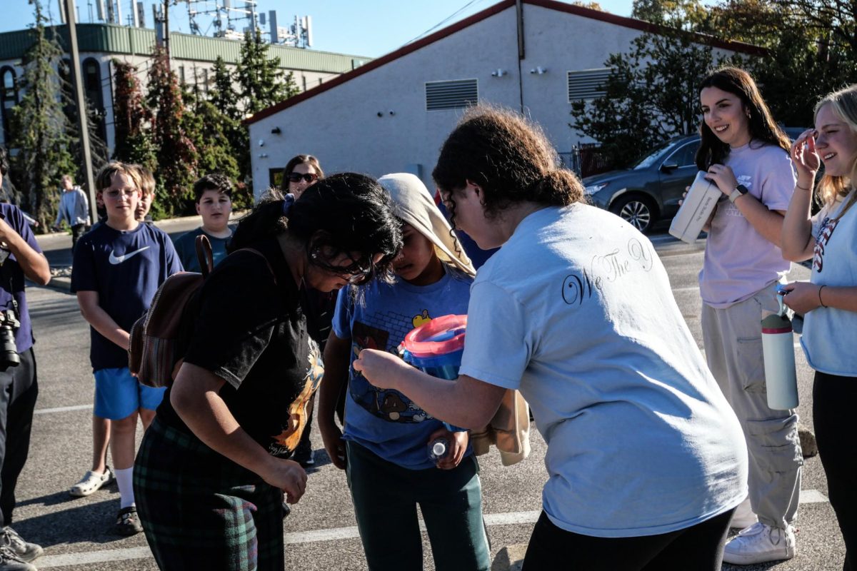 LM Democrats organize fun games for people at Votechella. 